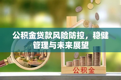额济纳旗公积金贷款风险防控，稳健管理与未来展望