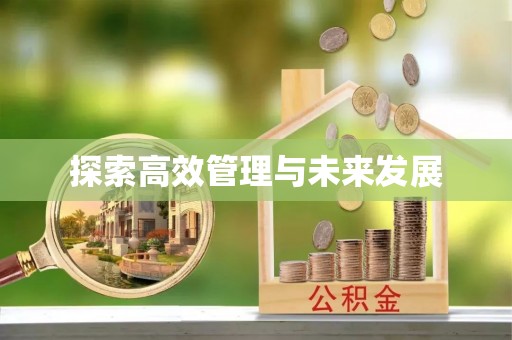 额济纳旗探索高效管理与未来发展
