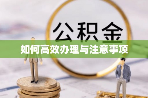 额济纳旗如何高效办理与注意事项
