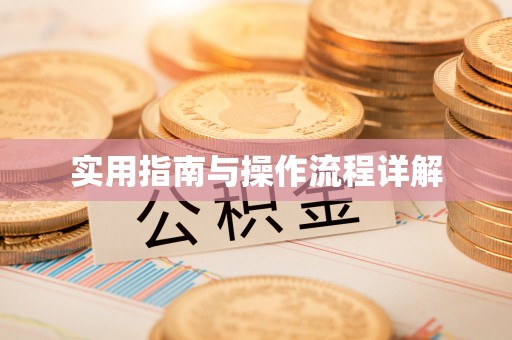 额济纳旗实用指南与操作流程详解