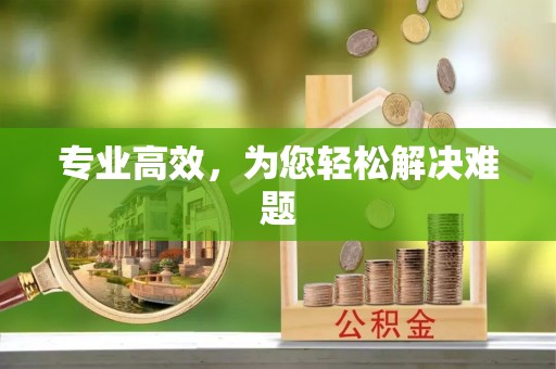 额济纳旗专业高效，为您轻松解决难题