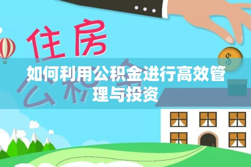 额济纳旗如何利用公积金进行高效管理与投资